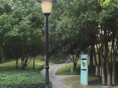 -重庆市江北嘴中央商务区中央公园