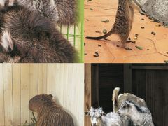 -南戴河国际娱乐中心