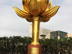 -金莲花广场