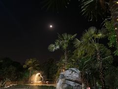 -杭州第一世界大酒店·云曼温泉