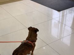 -美联众合动物医院·24h京西诊疗中心