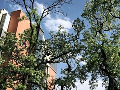 -首都儿科研究所附属儿童医院-停车场