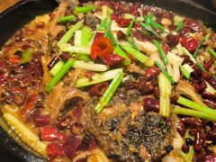 -老板恋上鱼(高新万达店)