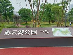 -重庆彩云湖湿地公园