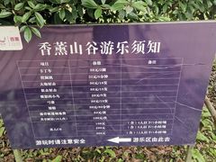 -紫颐香薰山谷景区