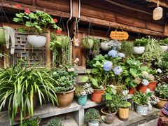 -龙姐私房菜(和顺古镇店)