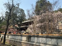 -潭柘寺景区