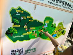 -西双版纳原始森林公园