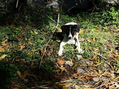 -藏龙百瀑风景区