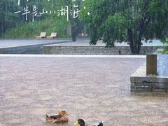 -阳朔糖舍酒店·糖舍餐厅&酒吧