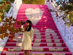 -田野绿世界