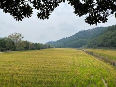 -韶山毛泽东同志故居