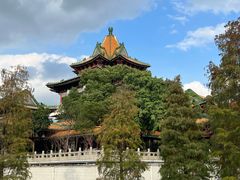 -顺峰山公园