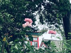 -济南大明湖景区
