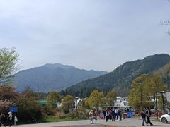 -石台牯牛降景区