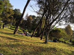 -铁山坪森林公园