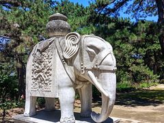 -清西陵