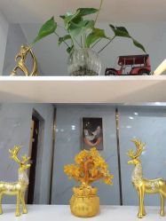 -发饰美男士增发补发假发定制店