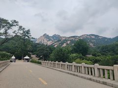 -无染寺