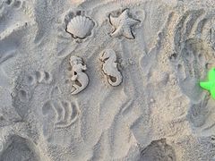 -惠州金海湾嘉华度假酒店