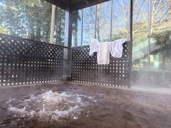 -春晖园度假酒店温泉