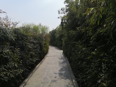 -西安汉城湖景区