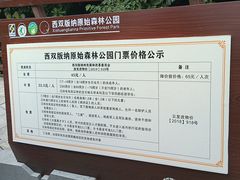 -西双版纳原始森林公园