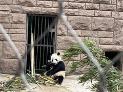 -皇家御河游(紫御湾码头)