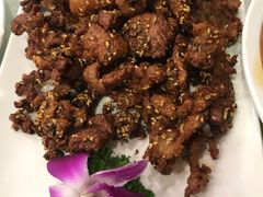 -宝发园名菜馆