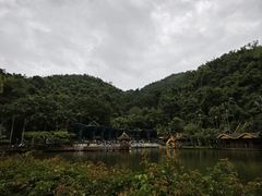 -西双版纳原始森林公园