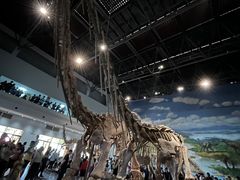 -自贡恐龙博物馆