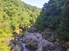 -龙苍沟森林公园