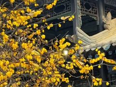-西安化觉巷清真大寺