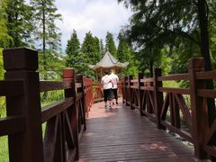 -广州市石门国家森林公园