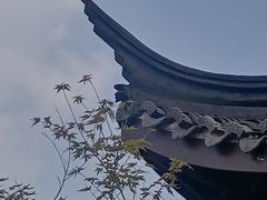 -青果巷历史文化街区