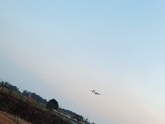 -空港花田景区