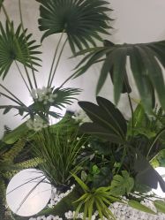 -HEYAN荷妍专业脱毛连锁机构