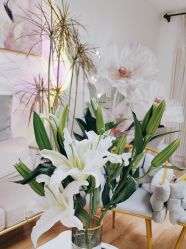 -美肤盾祛痘·问题肌头疗管理中心