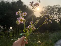 -汉长安城未央宫国家考古遗址公园