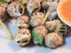 花螺-老三鱼仔店