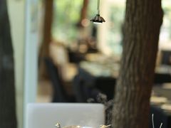 -西郊宾馆·1921餐厅