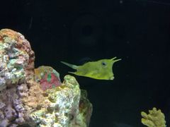 -上海海洋水族馆