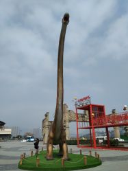 -恐龙探索乐园(磁器口店)