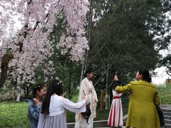 -西安青龙寺遗址景区