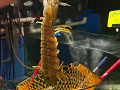 -辉记炭烧海鲜大排档·老字号(福田店)