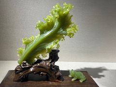 -大连自然博物馆