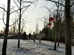 -北京亚布洛尼朝阳公园滑雪场