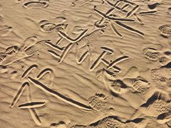 -普陀山风景名胜区-千步大沙