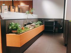 -首秀·四川料理(吾悦广场店)