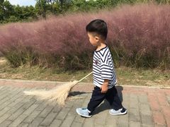 -南湖湿地公园